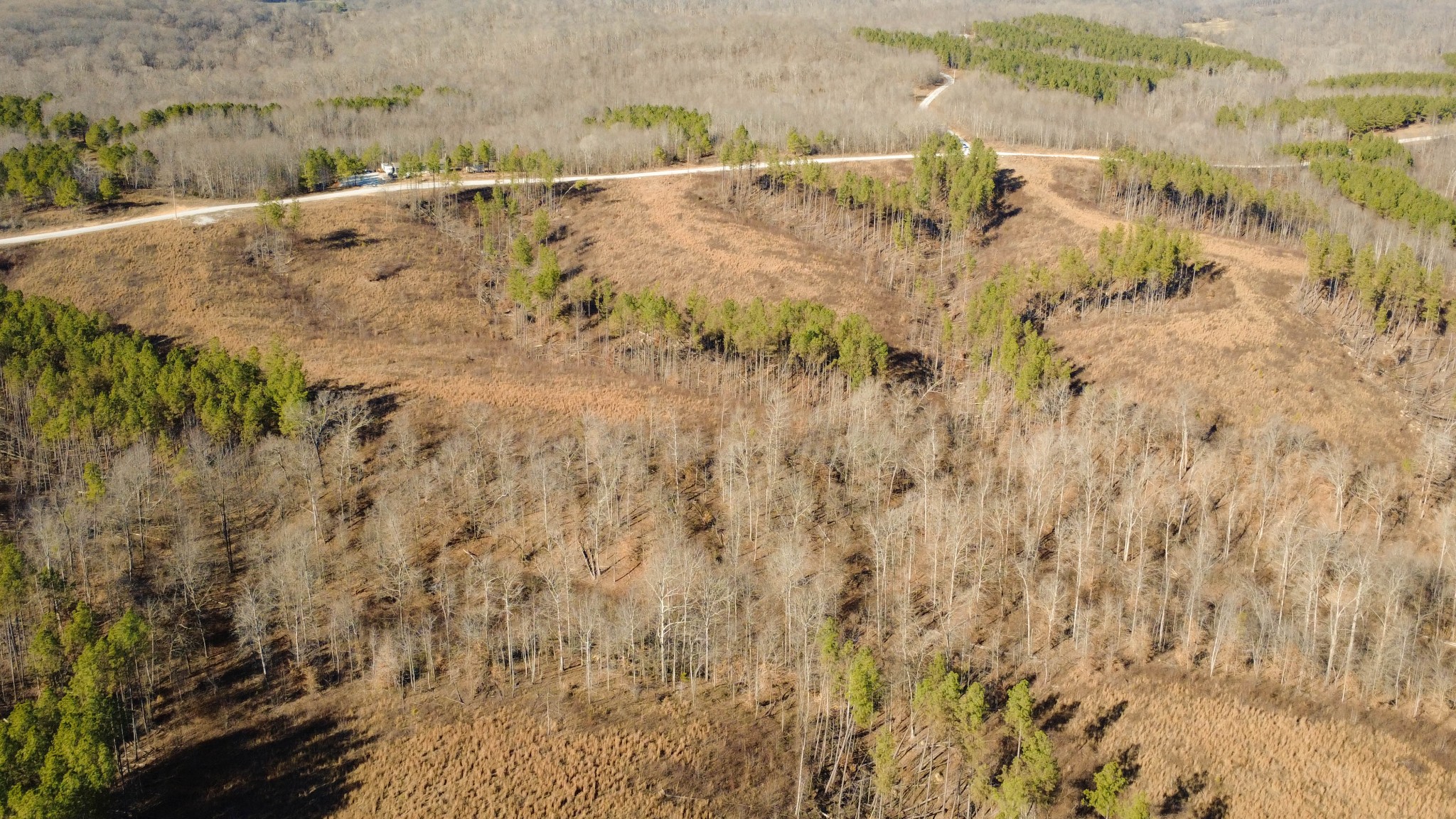 45 Saddleback Drive Dover, TN 37058 - Photo 13 of 25 a view of beach and lake view