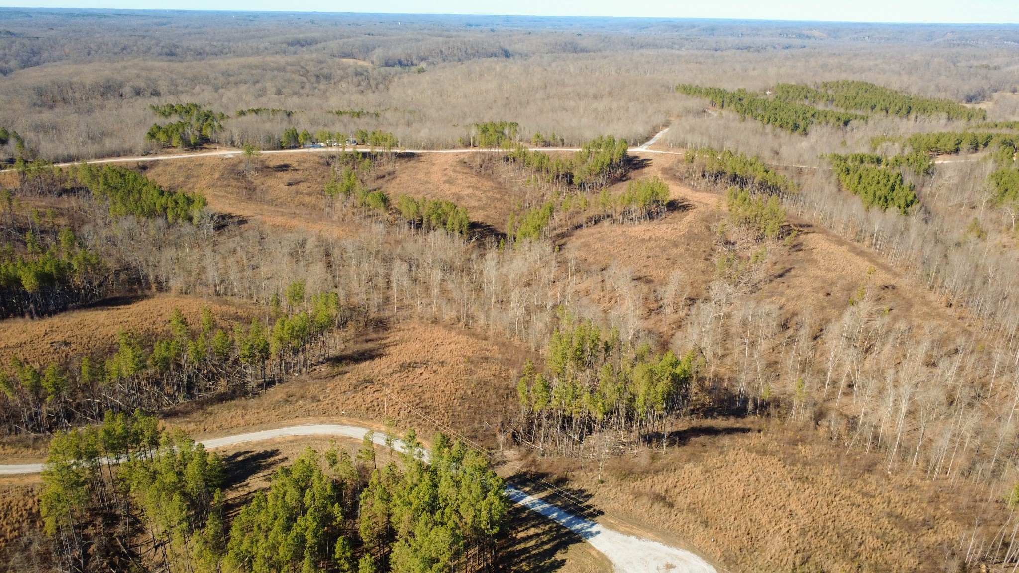 45 Saddleback Drive Dover, TN 37058 - Photo 14 of 25 a view of an outdoor space and a lake view