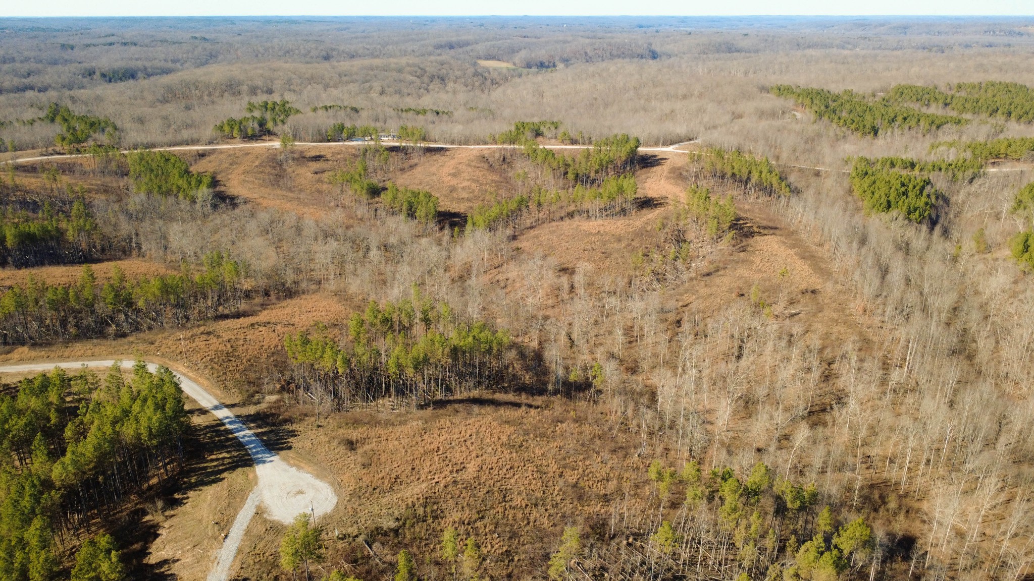 45 Saddleback Drive Dover, TN 37058 - Photo 15 of 25 a view of a outdoor space