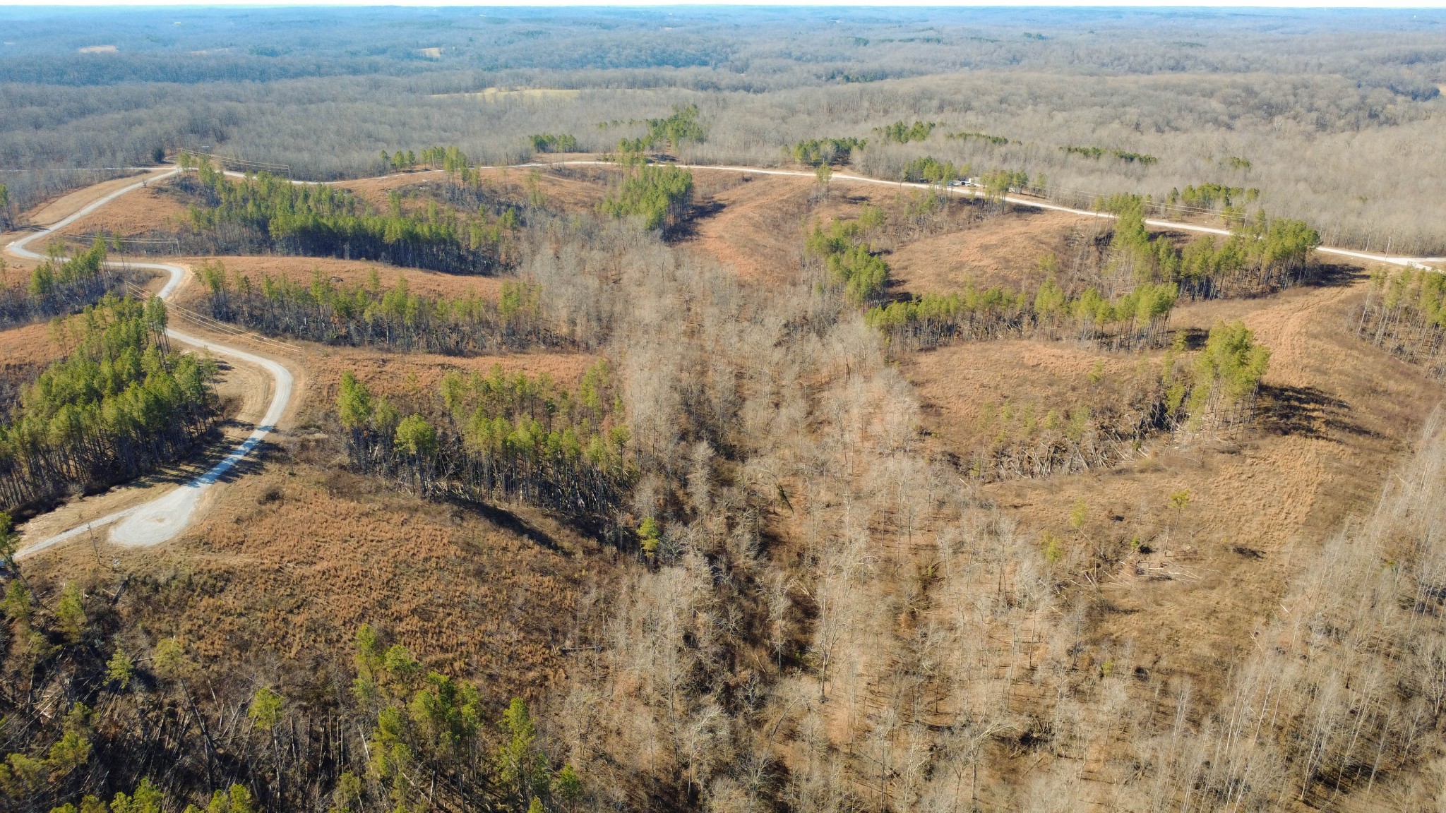 45 Saddleback Drive Dover, TN 37058 - Photo 16 of 25 a view of beach and yard