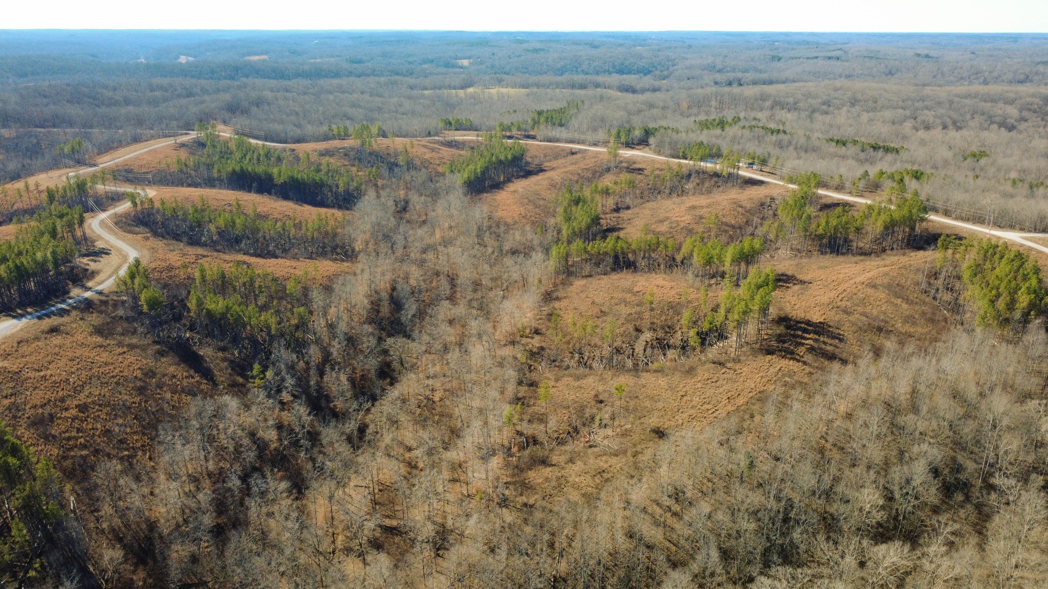 45 Saddleback Drive Dover, TN 37058 - Photo 17 of 25 a view of a green field with an outdoor space