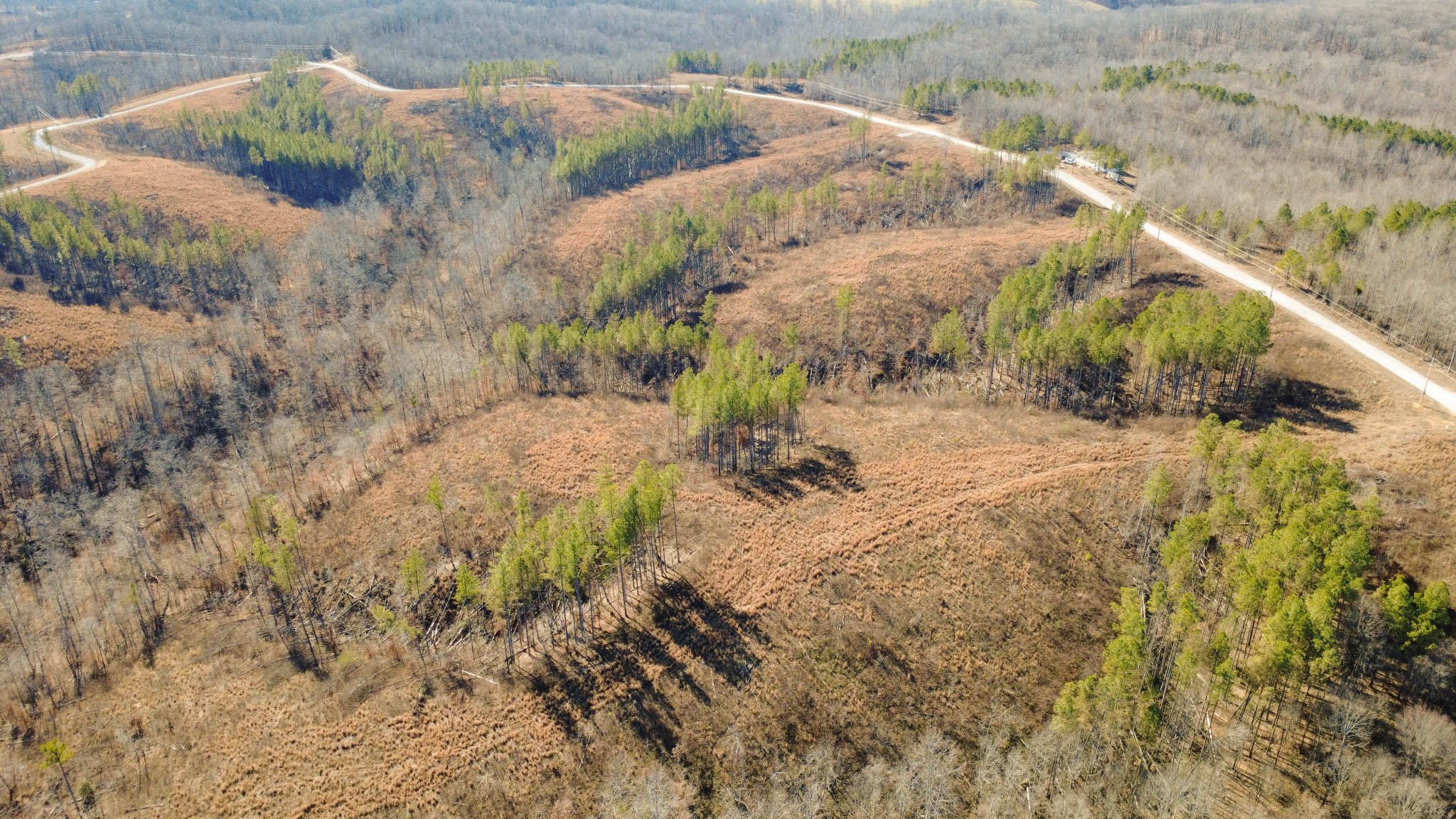 45 Saddleback Drive Dover, TN 37058 - Photo 19 of 25 a view of a dry yard with wooden fence