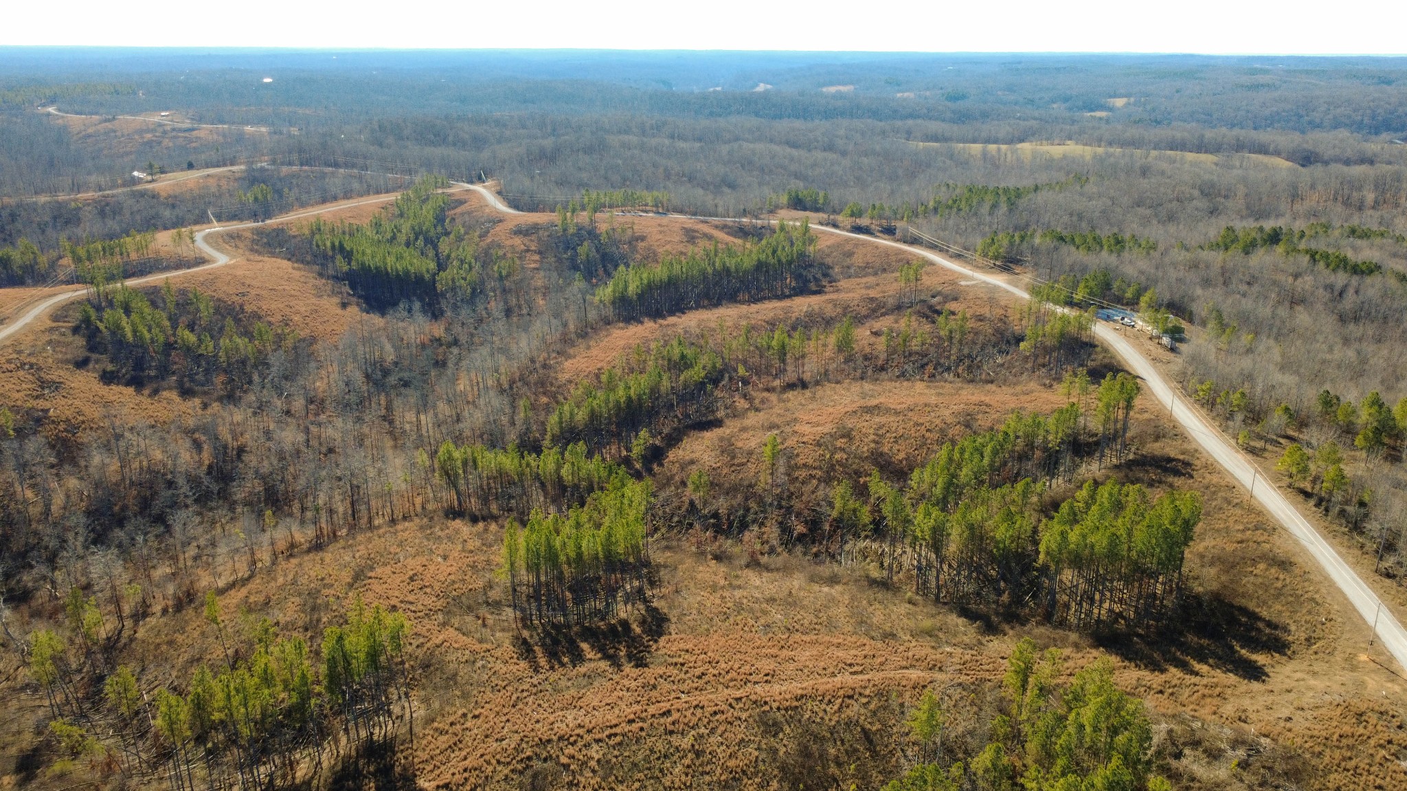 45 Saddleback Drive Dover, TN 37058 - Photo 20 of 25 a view of lake with green space