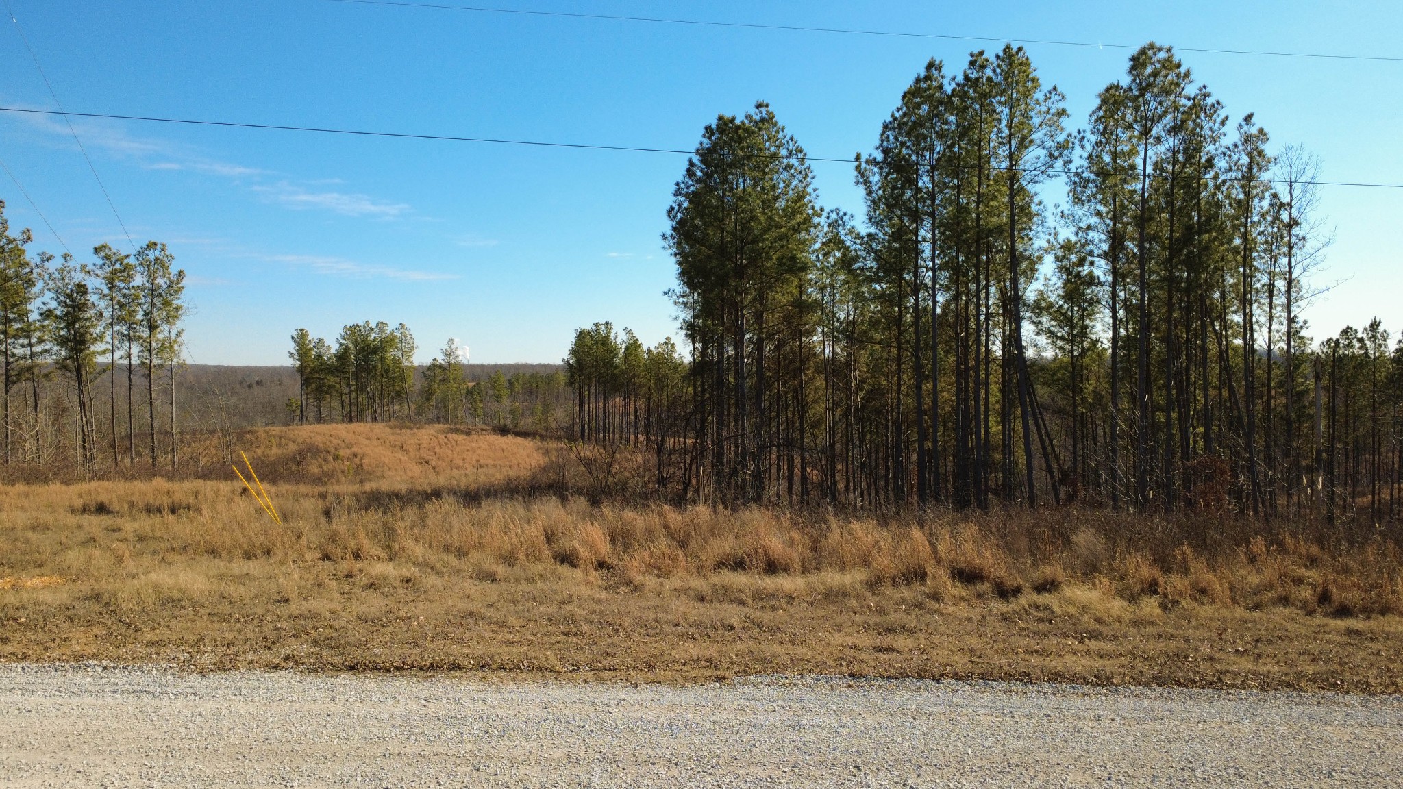 45 Saddleback Drive Dover, TN 37058 - Photo 2 of 25 a view of a yard with wooden fence