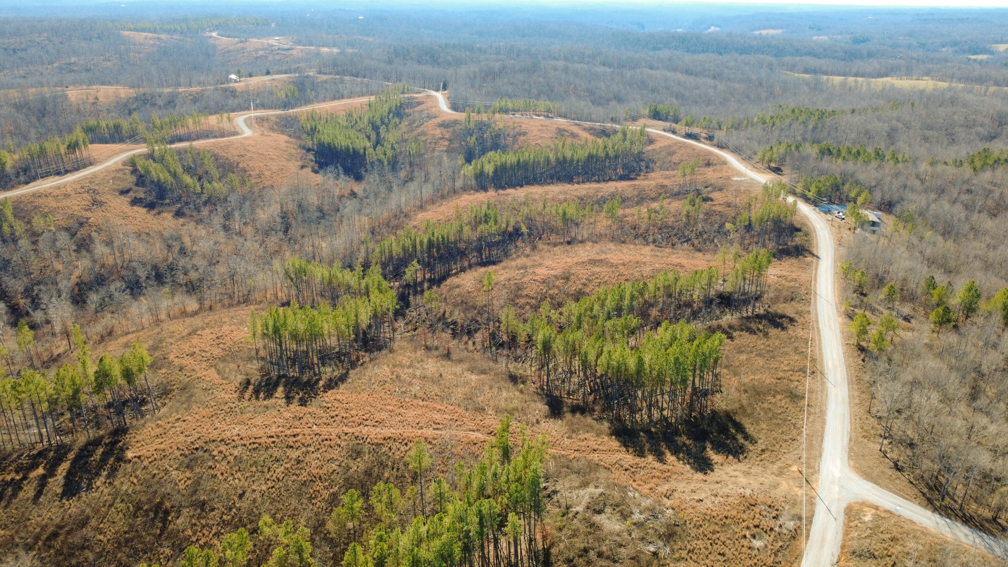 45 Saddleback Drive Dover, TN 37058 - Photo 21 of 25 a view of a lake with a yard