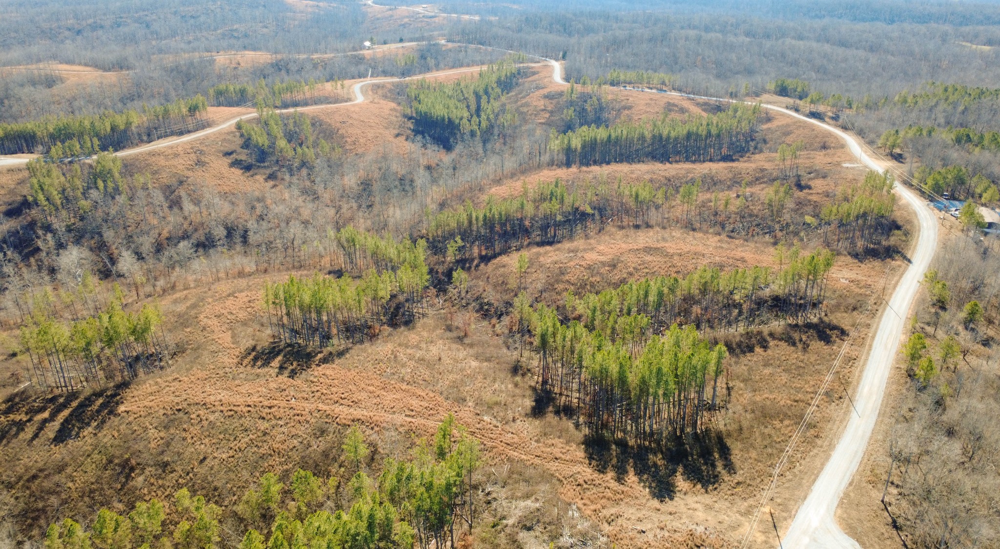 45 Saddleback Drive Dover, TN 37058 - Photo 22 of 25 a view of a garden with a pathway