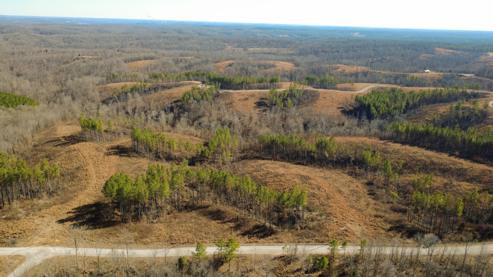 45 Saddleback Drive Dover, TN 37058 - Photo 3 of 25 a view of a yard with an outdoor space