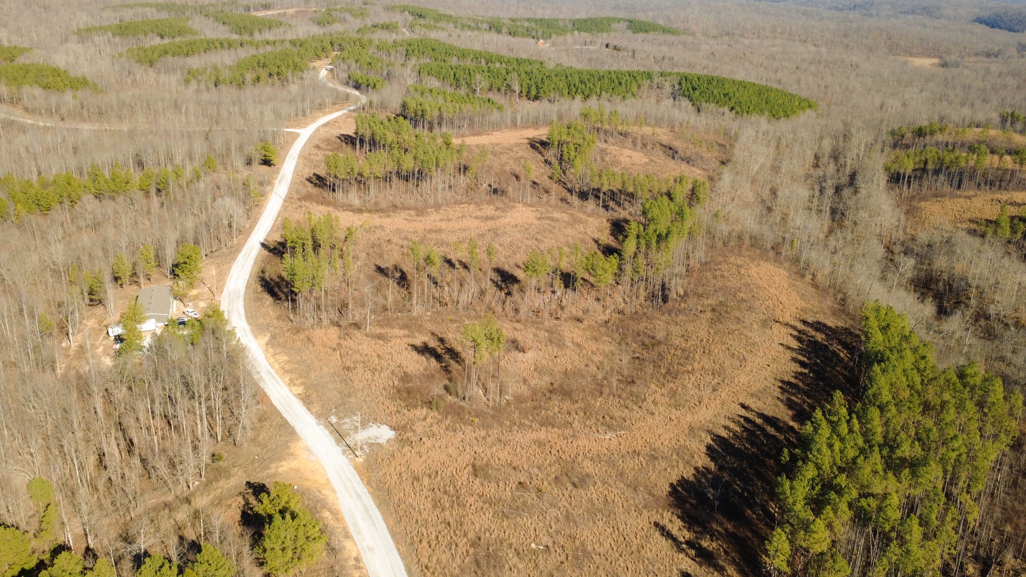 45 Saddleback Drive Dover, TN 37058 - Photo 8 of 25