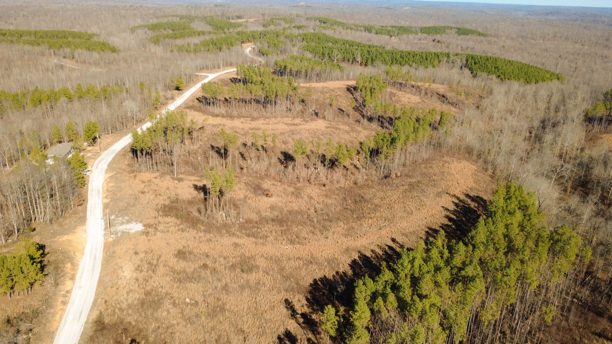 45 Saddleback Drive Dover, TN 37058 - Photo 10 of 25 a view of lake