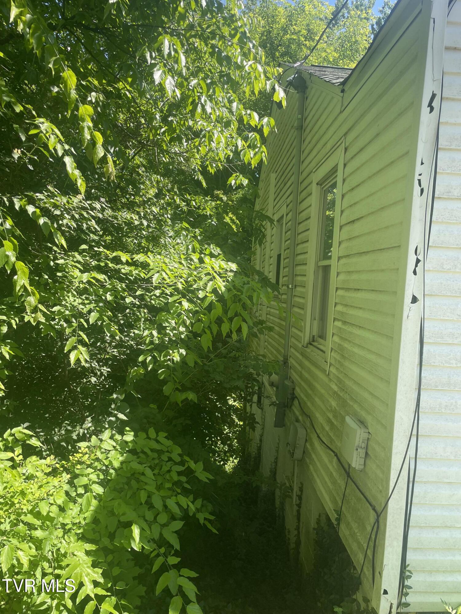206 East Broyles Street Greeneville, TN 37745 - Photo 4 of 10 IMG_7964