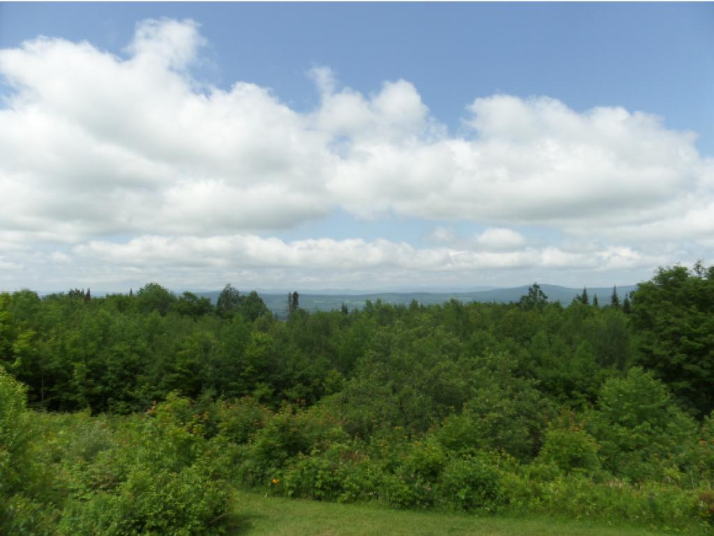 1308 Tower Road Williamstown, VT 05679 - Photo 22 of 22