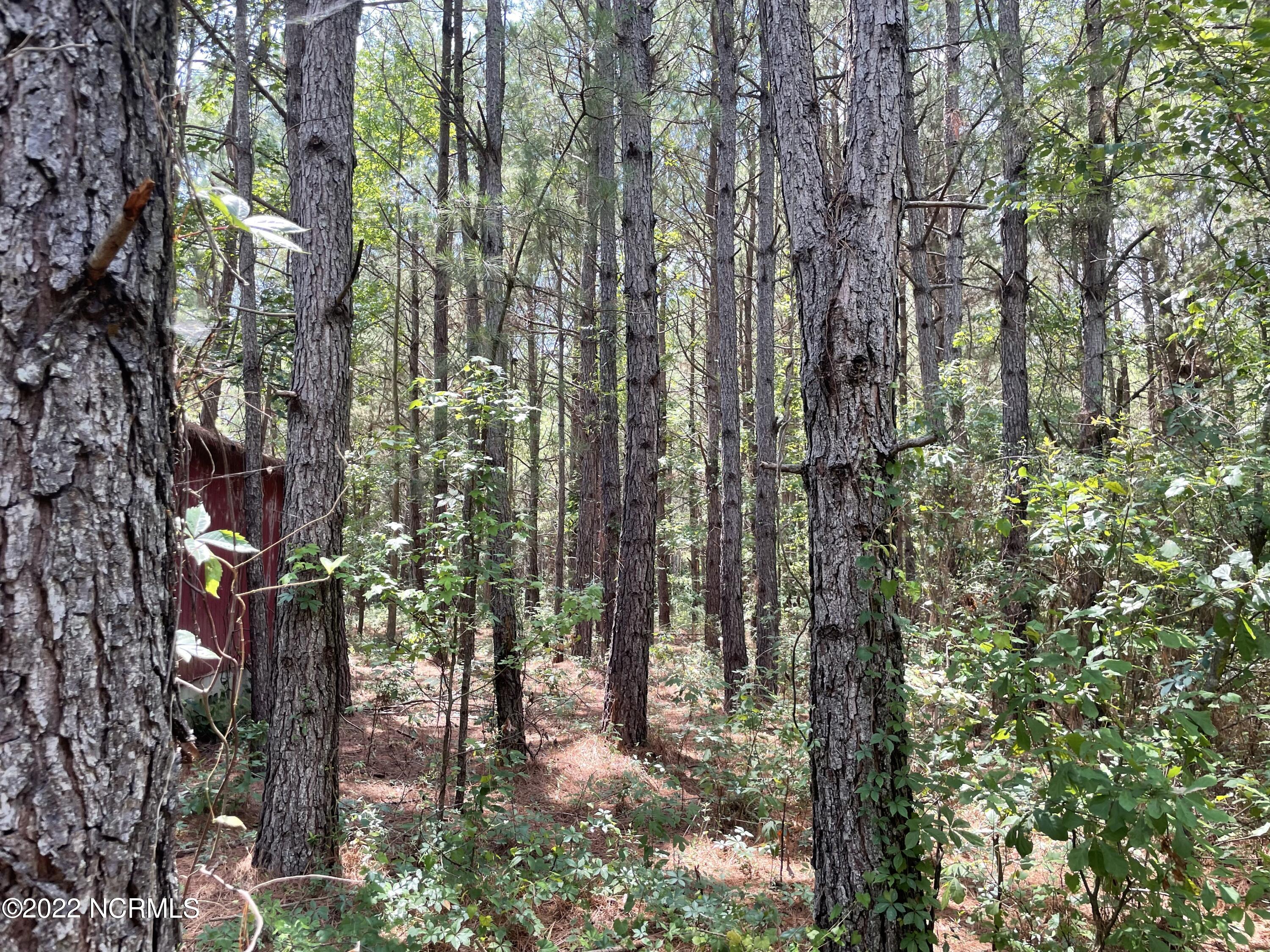 7106 Wire Grass Road Orrum, NC 28369 - Photo 10 of 28 IMG_4654