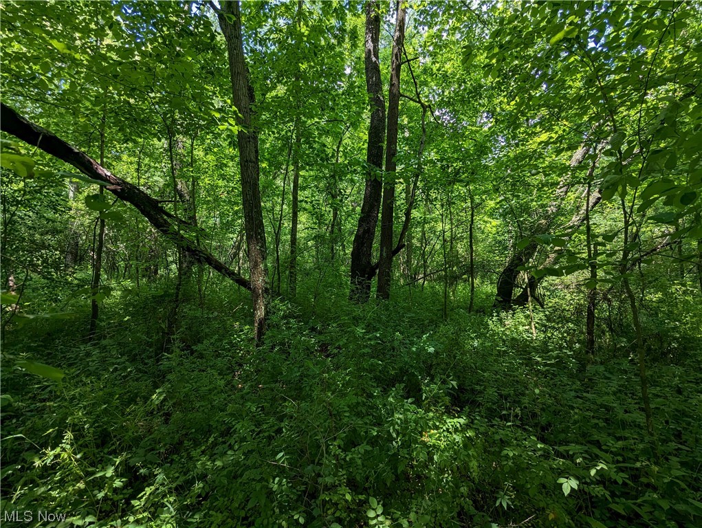 22 Township Road Cadiz, OH 43907 - Photo 13 of 35 Gallery Image 13