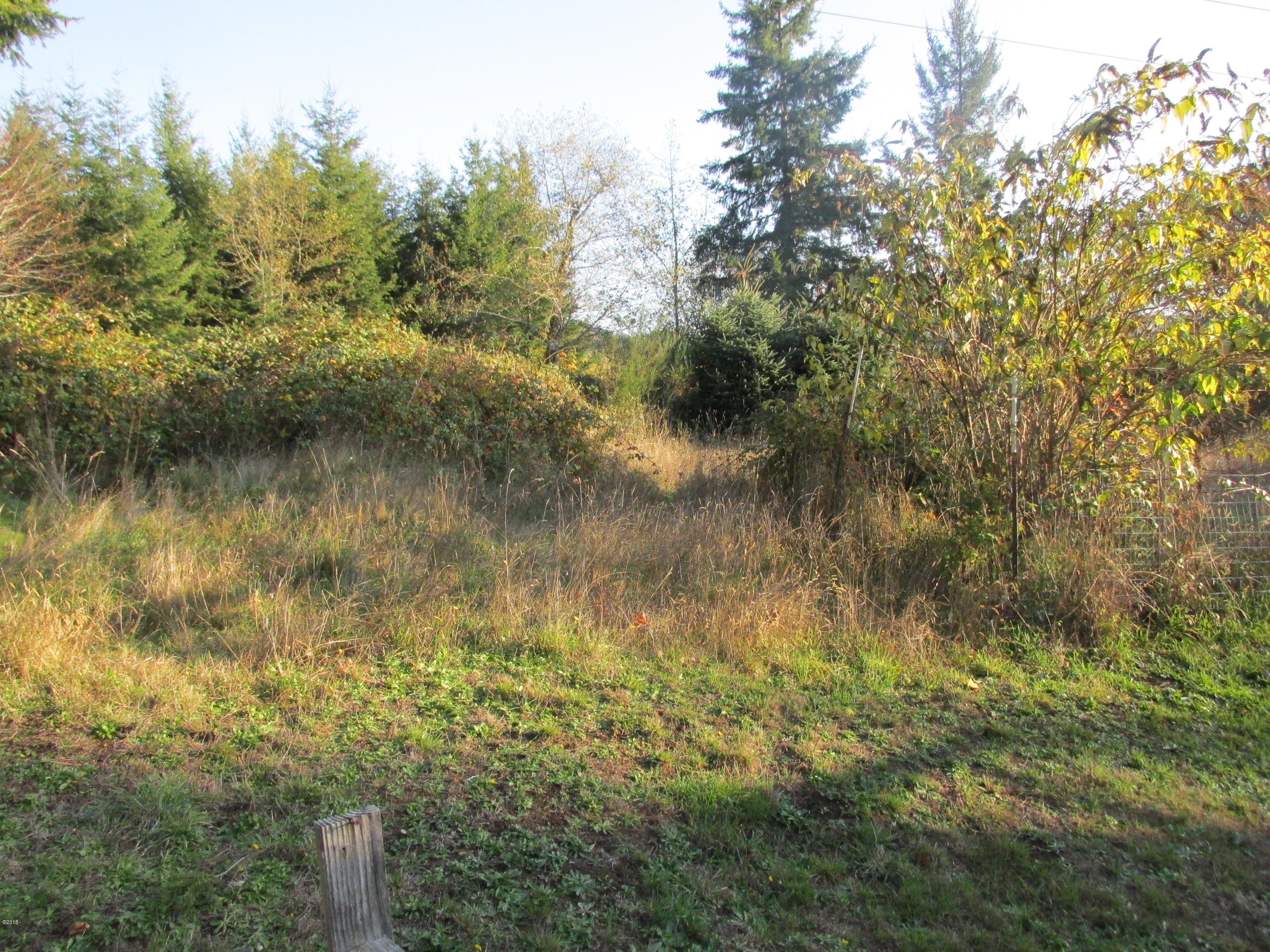 516 Elk City Road Toledo, OR 97391 - Photo 3 of 15 3.14 ac of Land