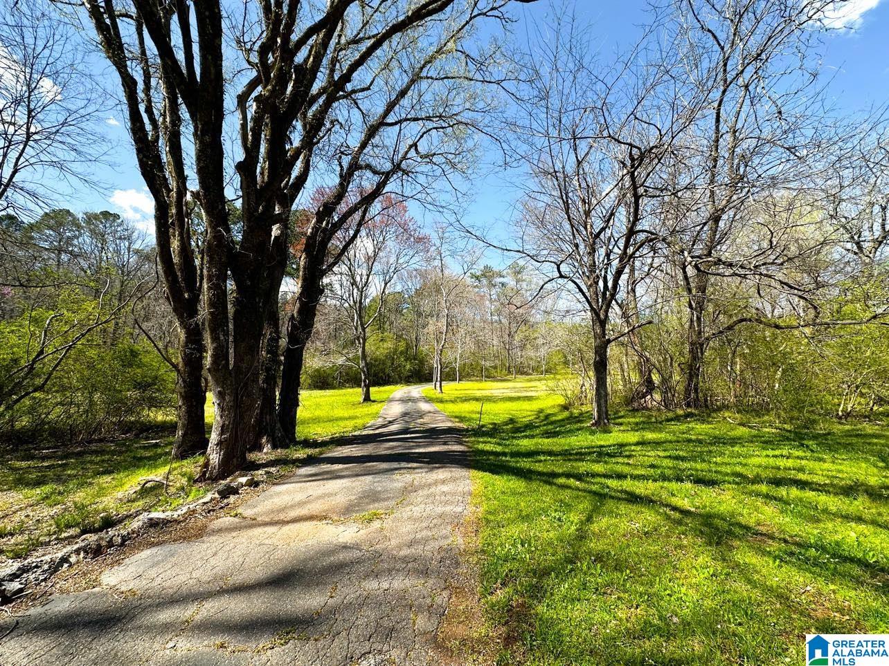 1931 Red Valley Road Remlap, AL 35133 - Photo 1 of 17