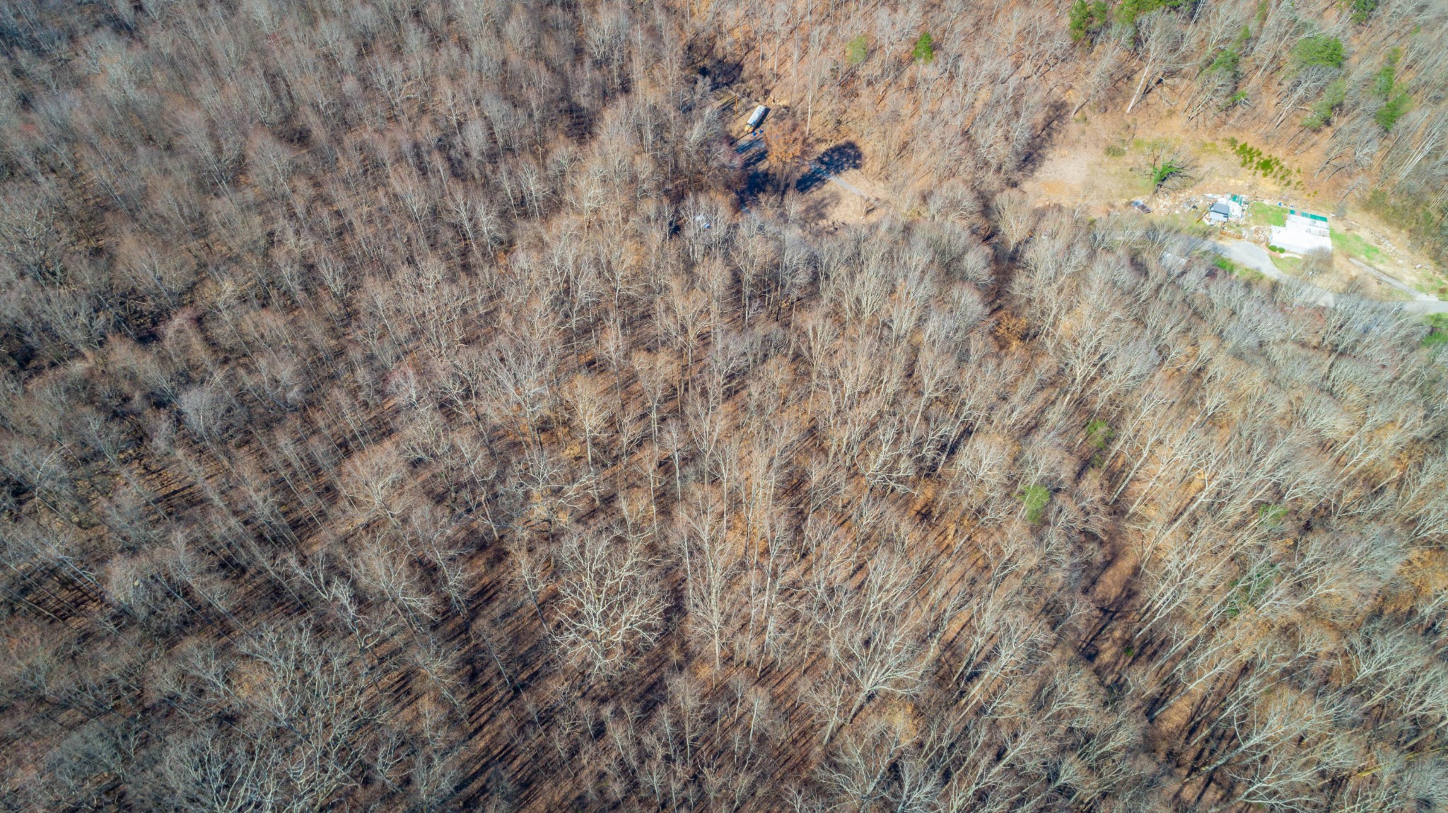 0 Waterfall Road Sequatchie, TN 37374 - Photo 17 of 31 Gallery Image 17