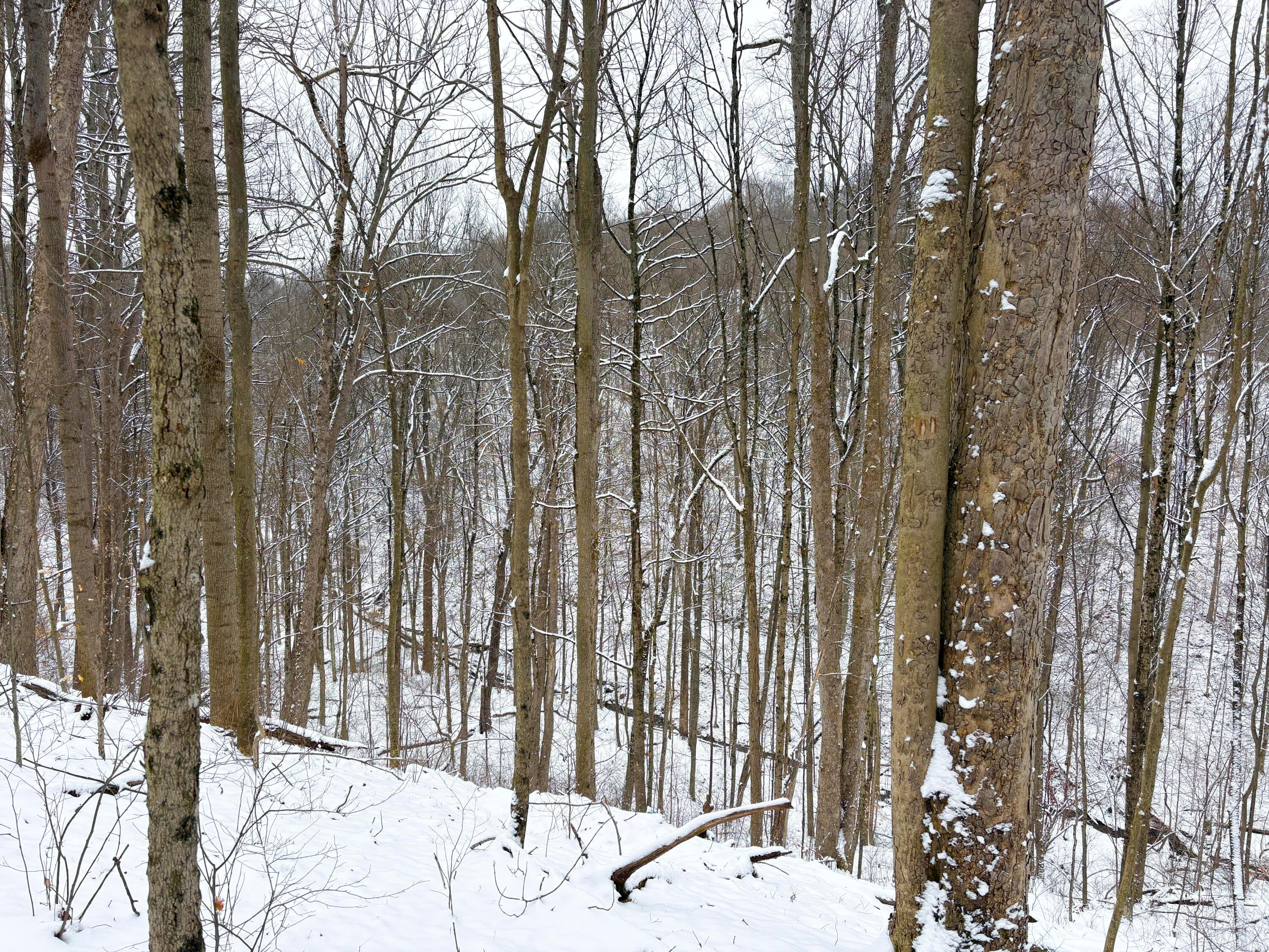 0 Morris Ridge Road, Unit TRACT #2 Jerusalem, OH 43747 - Photo 2 of 11 Tract 2_TD-6