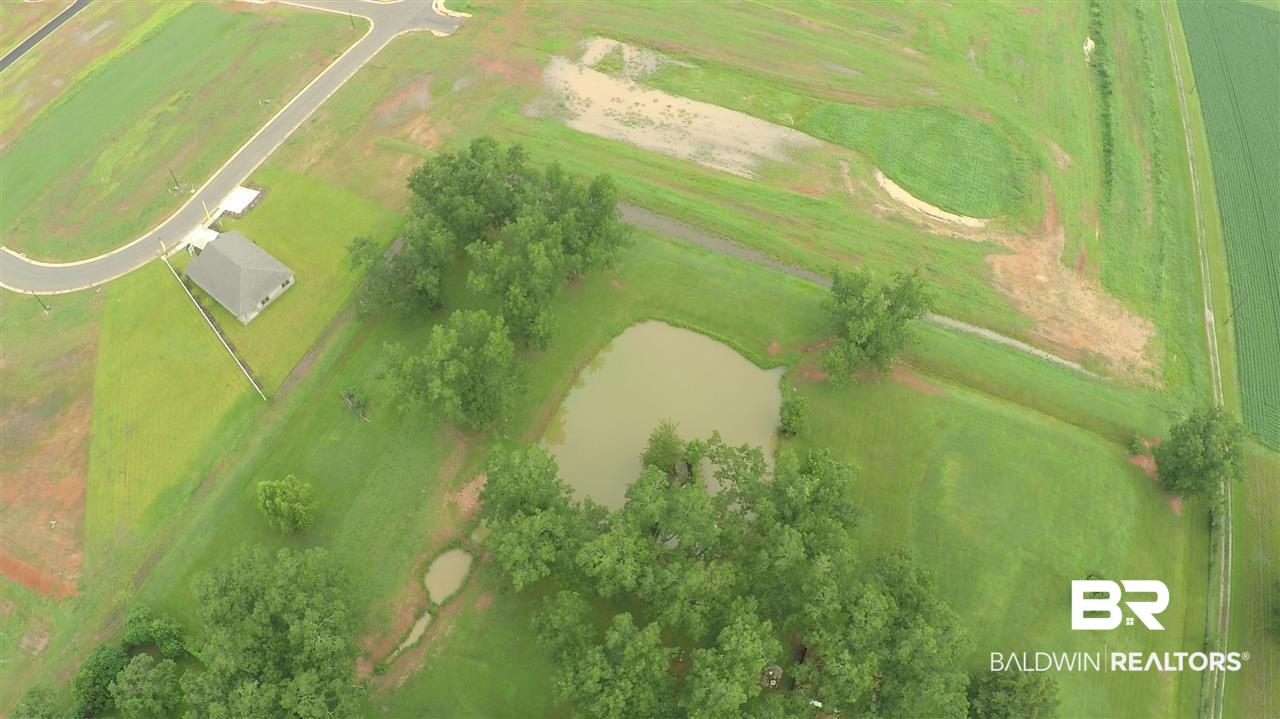 8477 County Road 64 Daphne, AL 36526 - Photo 10 of 19