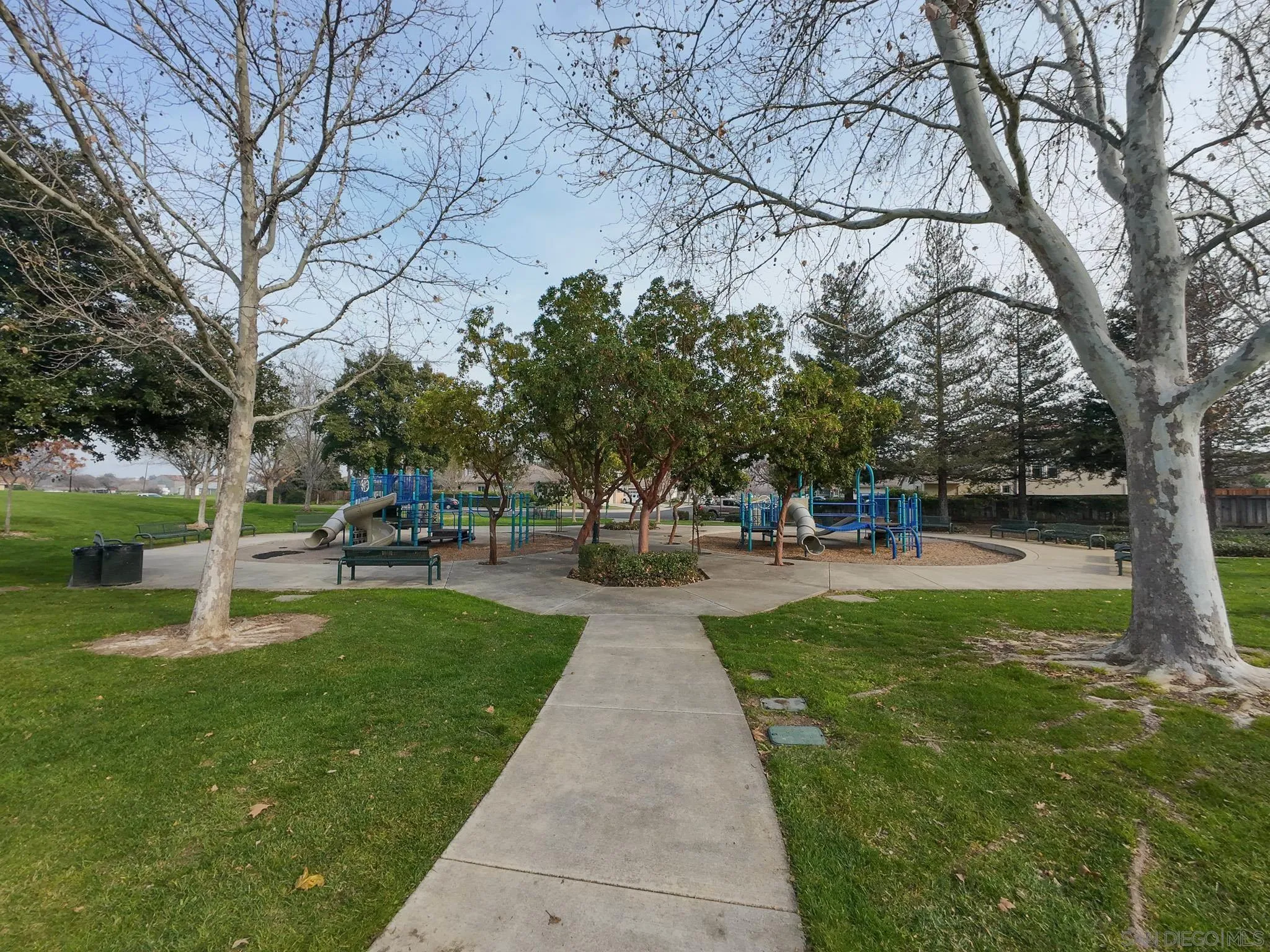 1220 Exeter Way Brentwood, CA 94513 - Photo 32 of 33 a park with large trees