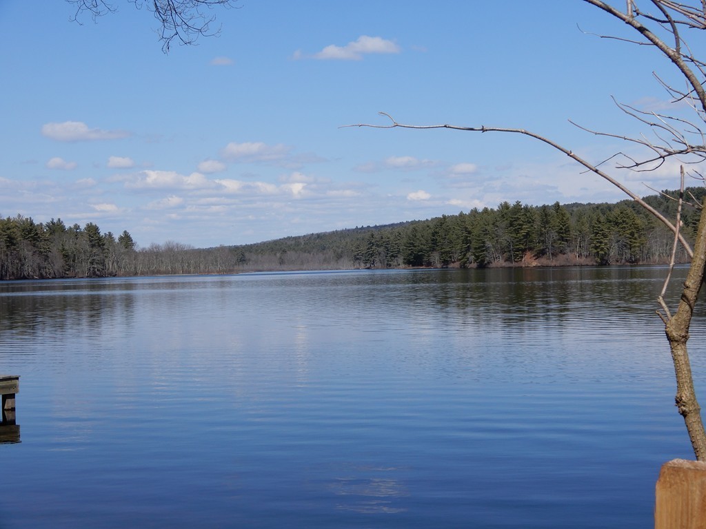 Lot 5 Hardwick Pond Road Hardwick, MA 01082 - Photo 4 of 12 Gallery Image 4