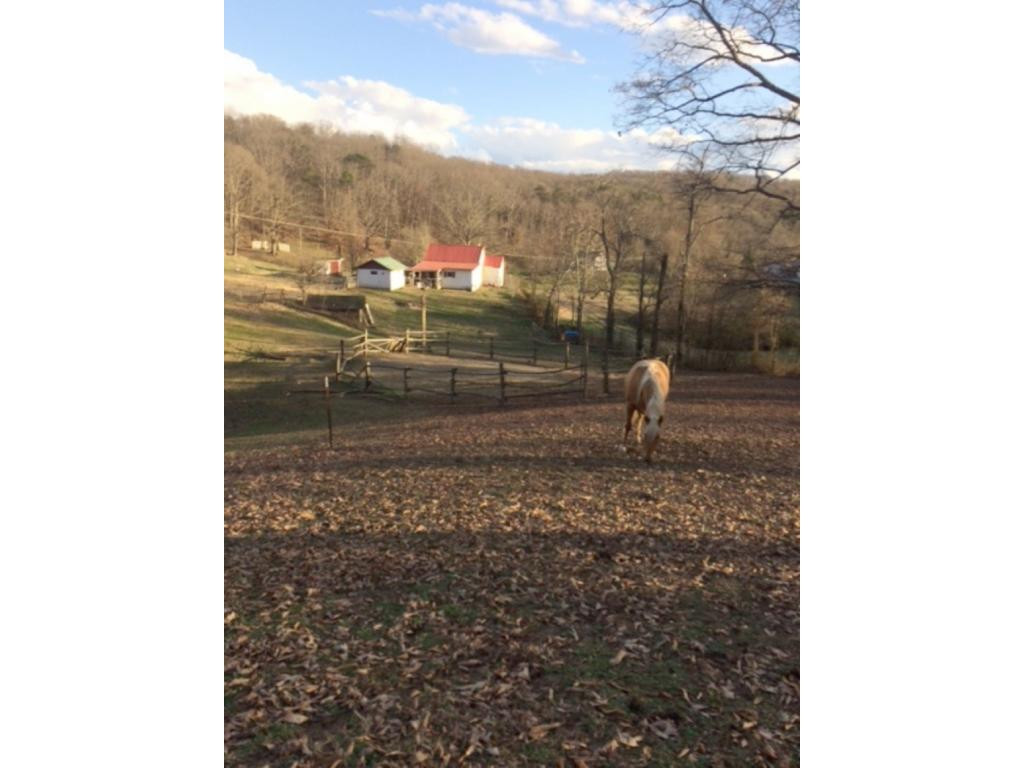 215 Pinhook Road Rogersville, TN 37857 - Photo 18 of 22 Photo 18