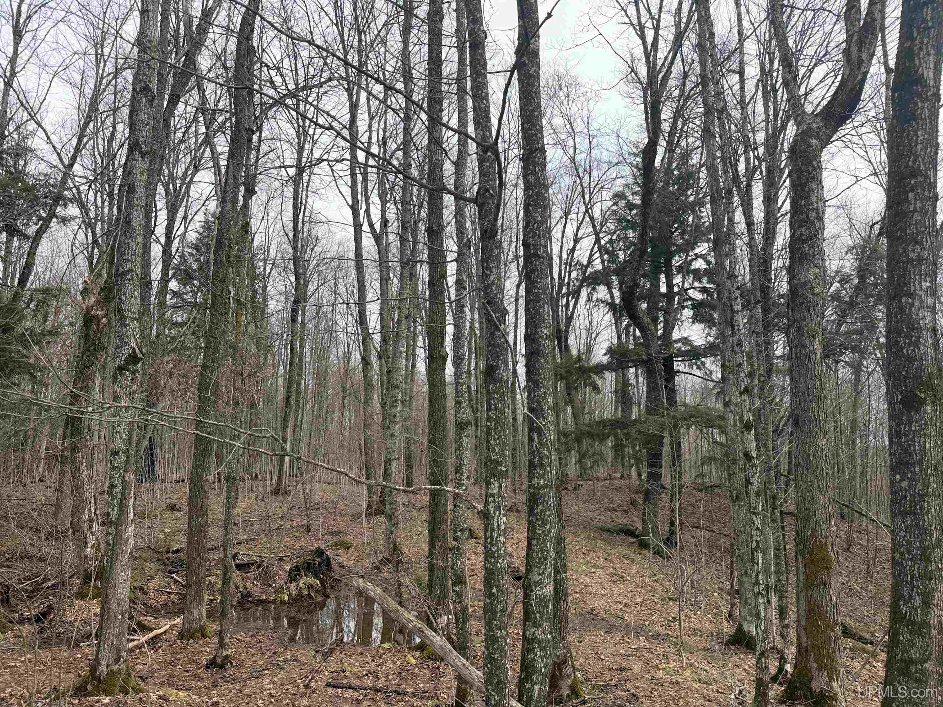 18 Chaney Lake Road Wakefield, MI 49968 - Photo 14 of 37