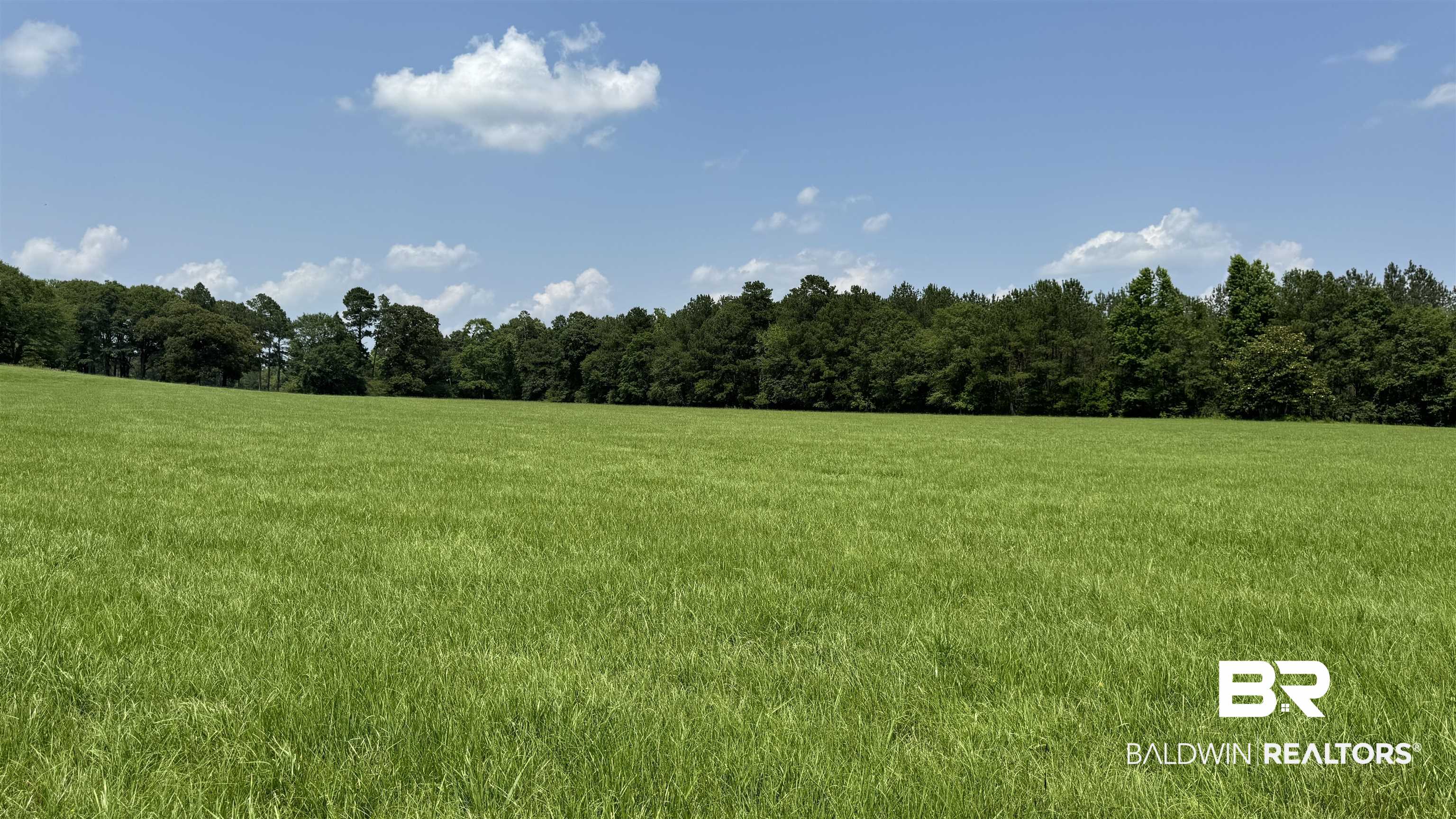 5182 Millry Buckatunna Road Millry, AL 36558 - Photo 48 of 50