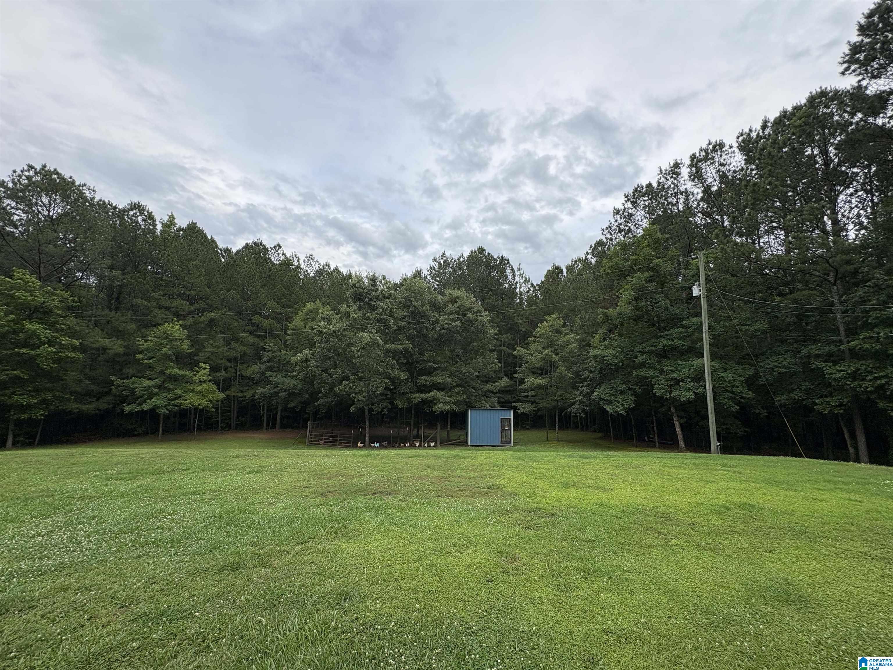 1322 Mitchellville Road Ohatchee, AL 36271 - Photo 6 of 51