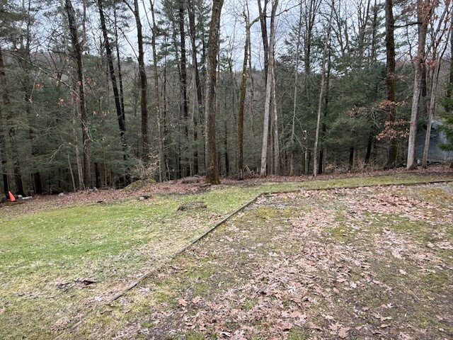 220 Dorman Road Binghamton, NY 13901 - Photo 4 of 32