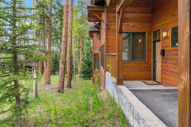 a view of a house with potted plants and a large tree