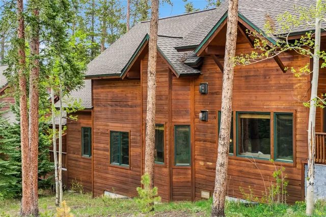 a view of a plant in a garden