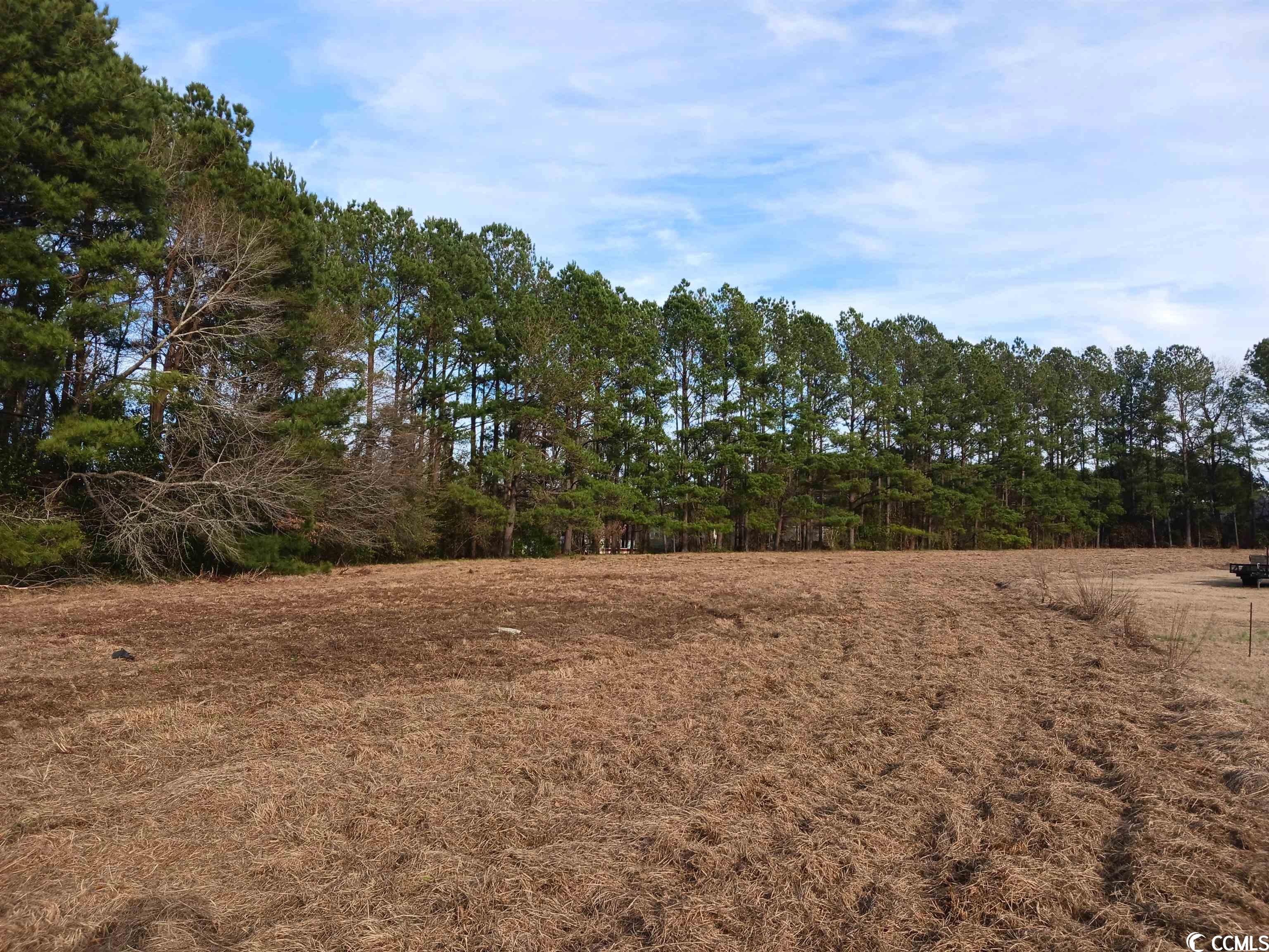 Tbd Bud Graham Road Galivants Ferry, SC 29544 - Photo 1 of 6 Gallery Image 1