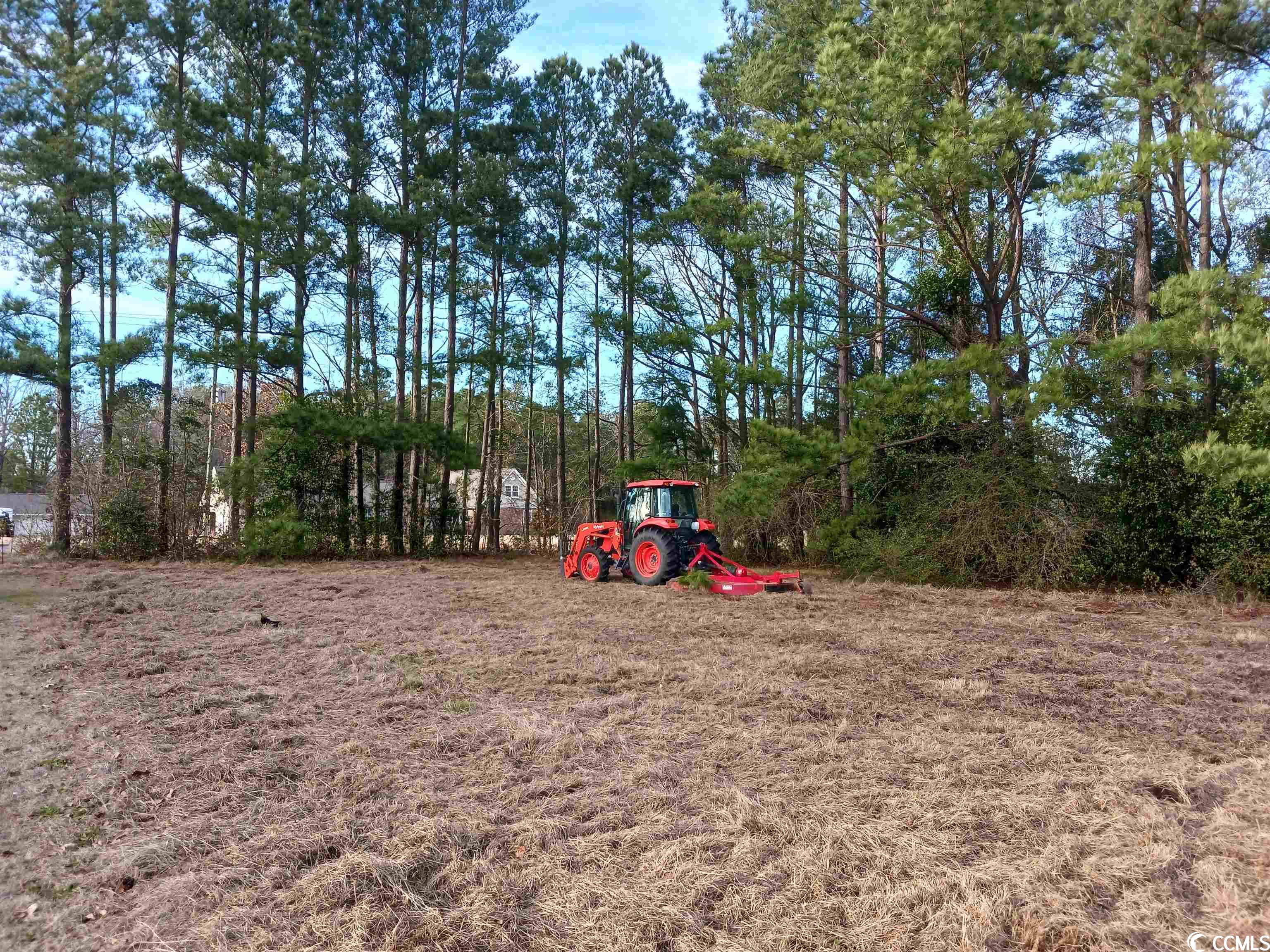 Tbd Bud Graham Road Galivants Ferry, SC 29544 - Photo 4 of 6 Gallery Image 4