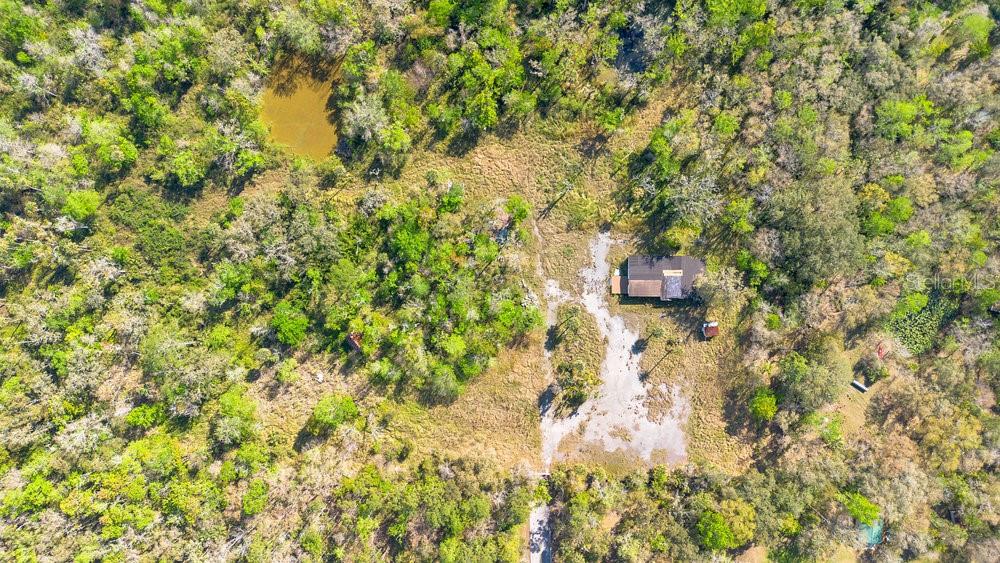 953 Baron Road Orlando, FL 32828 - Photo 7 of 15 a picture of a tree