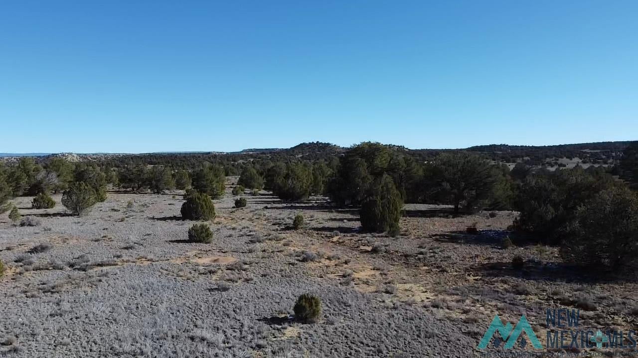 Tbd Arrowhead Road Pinehill, NM 87357 - Photo 20 of 23 View of nature