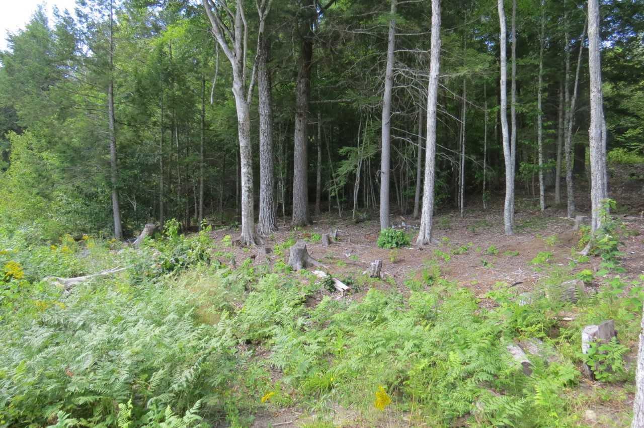147 Old Hay Road Ellsworth, ME 04605 - Photo 32 of 40 download (19)