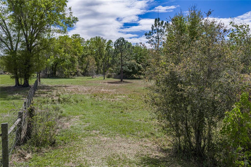 0 Clayton Road Kathleen, FL 33849 - Photo 15 of 41 a view of outdoor space with trees all around