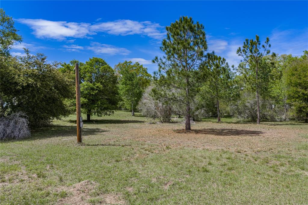 0 Clayton Road Kathleen, FL 33849 - Photo 18 of 41 a view of outdoor space with green space
