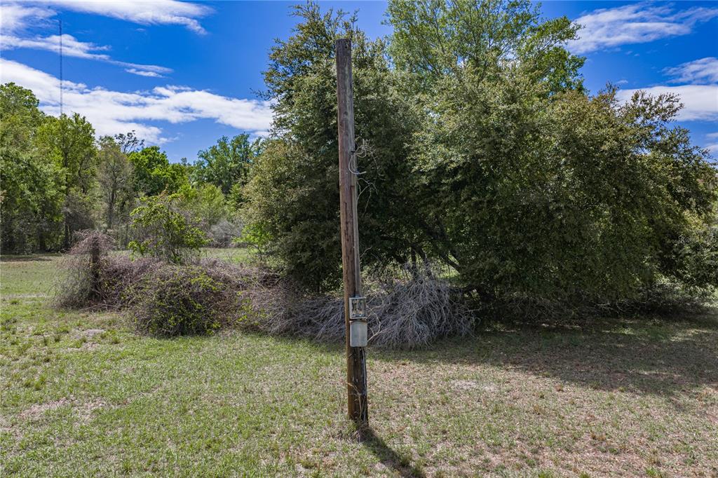 0 Clayton Road Kathleen, FL 33849 - Photo 19 of 41 a view of a yard