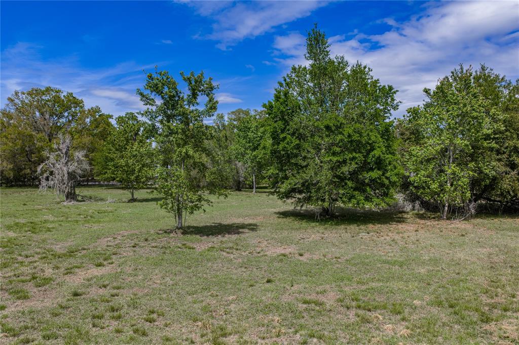 0 Clayton Road Kathleen, FL 33849 - Photo 20 of 41 a backyard of a house with lots of green space