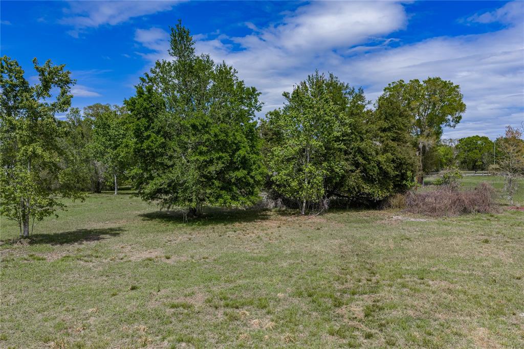 0 Clayton Road Kathleen, FL 33849 - Photo 21 of 41 a view of a yard with a tree
