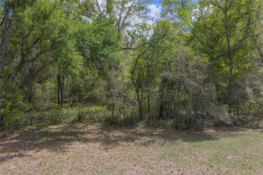 0 Clayton Road Kathleen, FL 33849 - Photo 22 of 41 a view of a forest with trees in the background