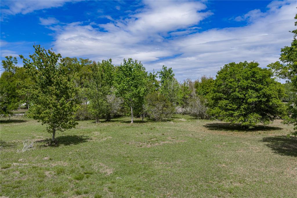 0 Clayton Road Kathleen, FL 33849 - Photo 23 of 41 a view of a field with trees in the background