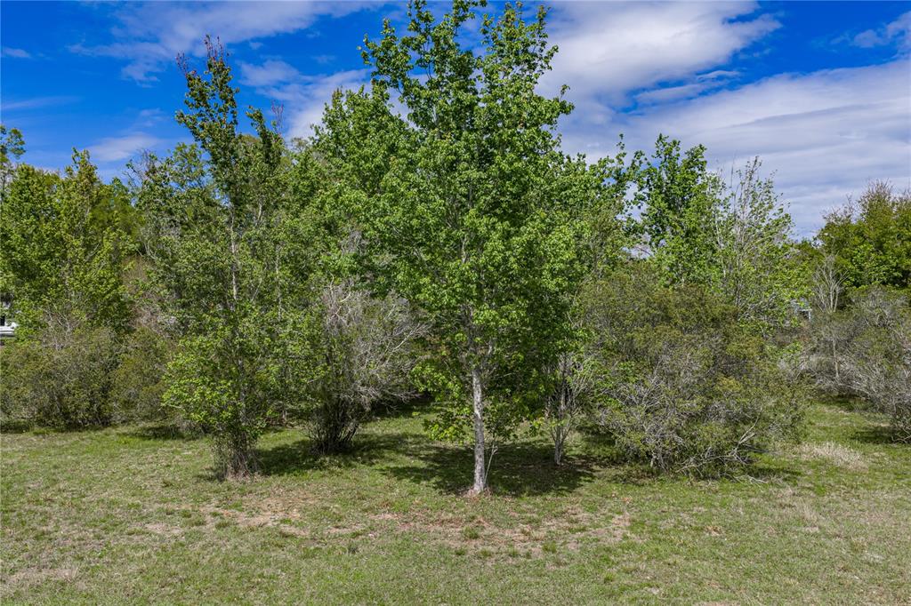 0 Clayton Road Kathleen, FL 33849 - Photo 24 of 41 a backyard of a house with lots of green space