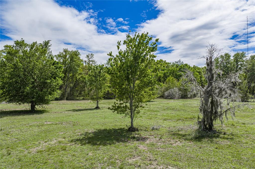 0 Clayton Road Kathleen, FL 33849 - Photo 25 of 41 a view of outdoor space with deck and yard