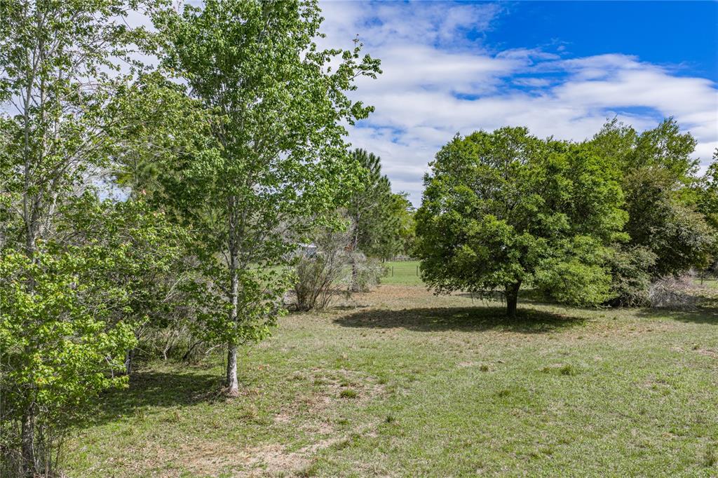 0 Clayton Road Kathleen, FL 33849 - Photo 27 of 41 a view of a yard with plants and trees