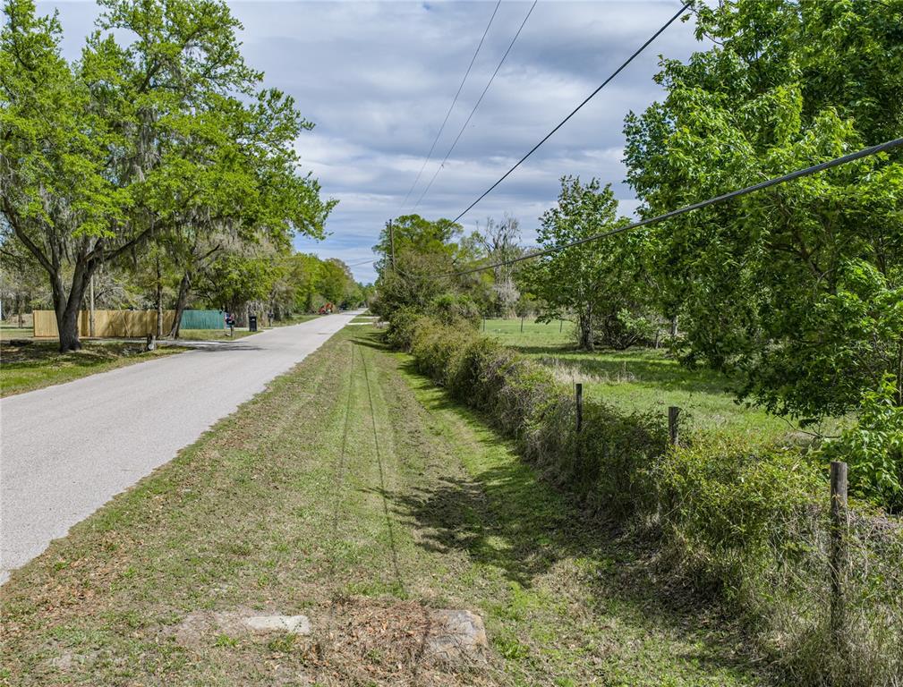 0 Clayton Road Kathleen, FL 33849 - Photo 28 of 41 a view of a pathway both side of yard