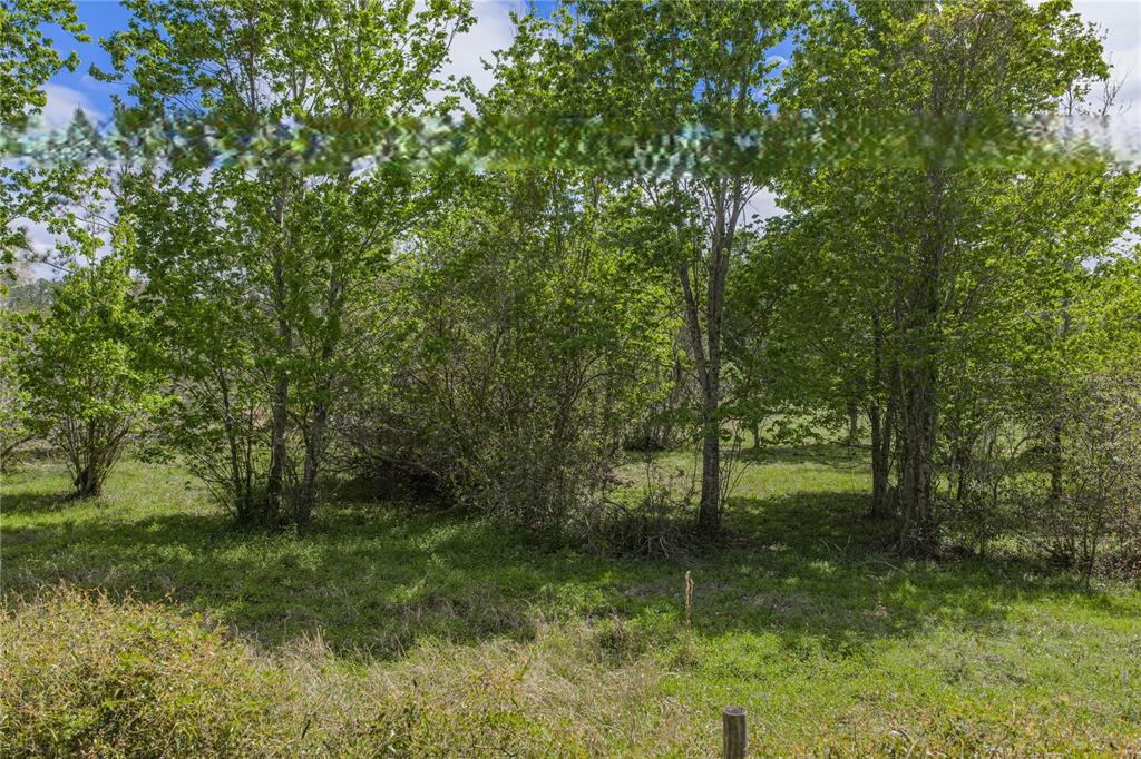 0 Clayton Road Kathleen, FL 33849 - Photo 30 of 41 a view of a green field