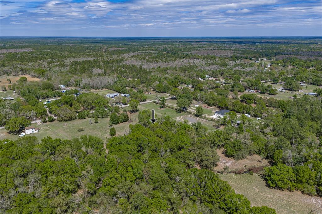 0 Clayton Road Kathleen, FL 33849 - Photo 37 of 41 a view of outdoor space and yard