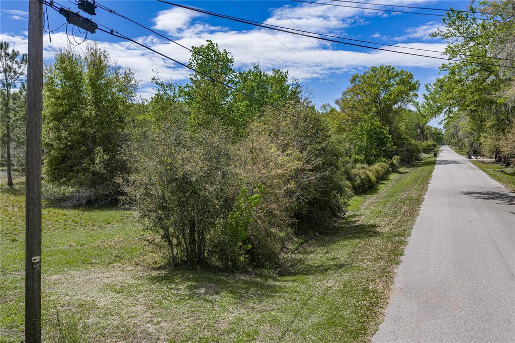 0 Clayton Road Kathleen, FL 33849 - Photo 41 of 41 a view of a yard with plants and a pathway